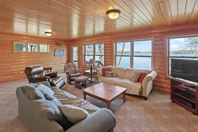 10209 Amery Ave NW, Silver Creek Twp, MN 55362 - living area featuring rustic walls, wooden ceiling, healthy amount of natural light, and light colored carpet