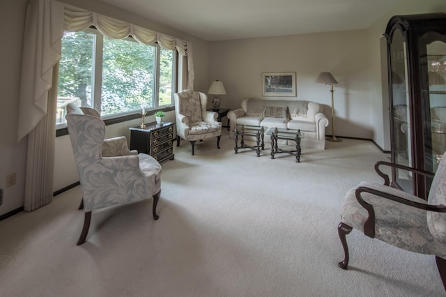 10929 108th Ave N, Maple Grove, MN 55369 - living area with carpet floors and baseboards
