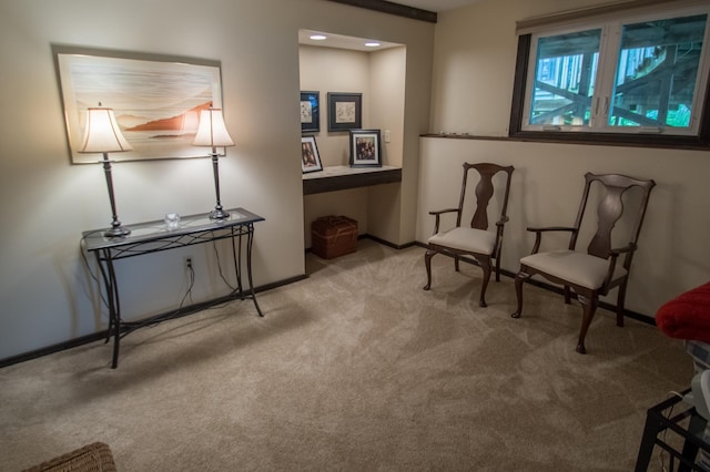 10929 108th Ave N, Maple Grove, MN 55369 - sitting room with carpet and baseboards