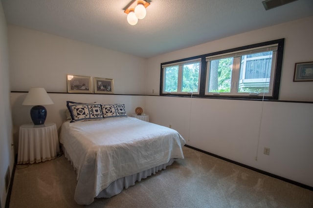 10929 108th Ave N, Maple Grove, MN 55369 - bedroom featuring light carpet and a textured ceiling