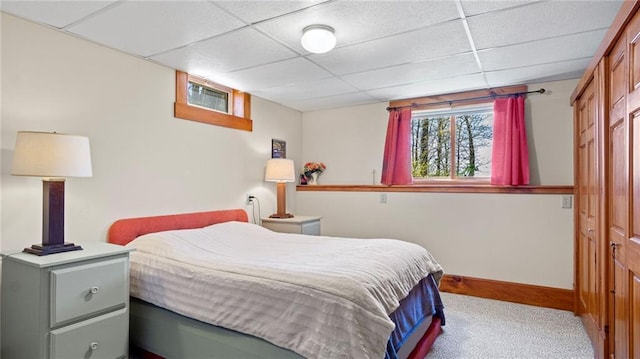 bedroom featuring baseboards, carpet flooring, and a paneled ceiling