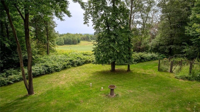 view of yard