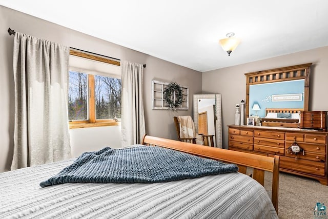 bedroom with carpet