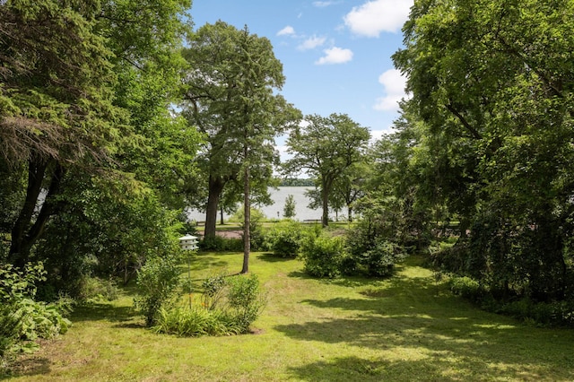 3520 Bde Maka Ska Pkwy, Minneapolis, MN 55416 - photo 4