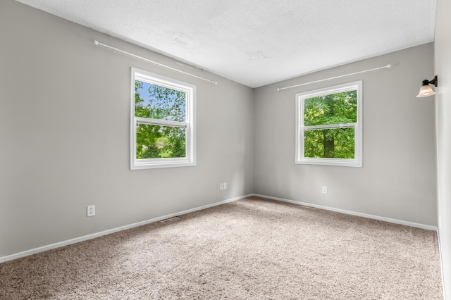6140 Chaska Rd, Shorewood, MN 55331 - photo 18