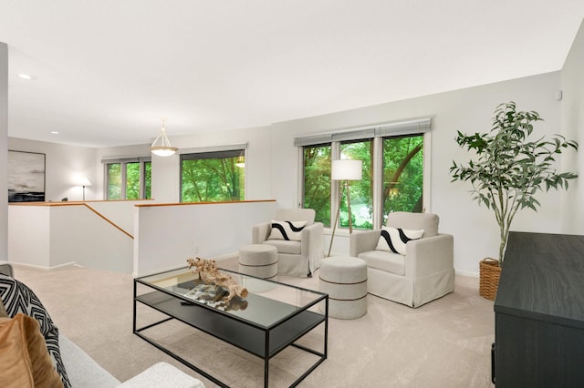 2117 Indian Rd W, Minnetonka, MN 55305 - view of carpeted living room