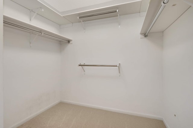 2117 Indian Rd W, Minnetonka, MN 55305 - spacious closet featuring light carpet