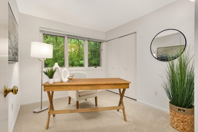 2117 Indian Rd W, Minnetonka, MN 55305 - office area with light carpet and baseboards