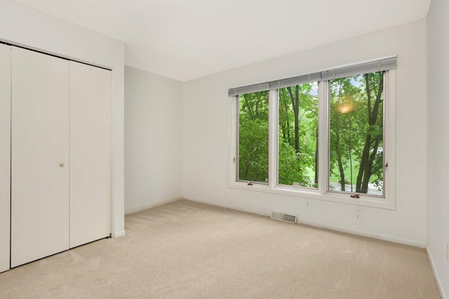 2117 Indian Rd W, Minnetonka, MN 55305 - unfurnished bedroom featuring carpet flooring and a closet