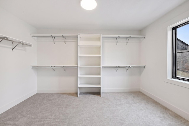 spacious closet featuring carpet floors