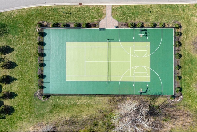bird's eye view