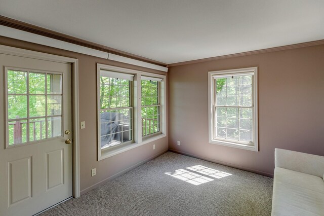 2064 View Dr NW, Walker, MN 56484 - doorway to outside with crown molding, plenty of natural light, carpet flooring, and baseboards