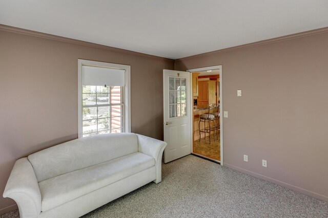 2064 View Dr NW, Walker, MN 56484 - living area featuring light carpet, crown molding, and baseboards