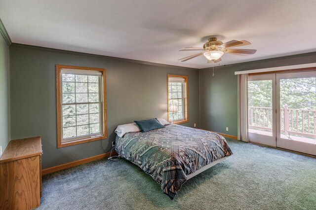 2064 View Dr NW, Walker, MN 56484 - carpeted bedroom with access to exterior, multiple windows, baseboards, and crown molding