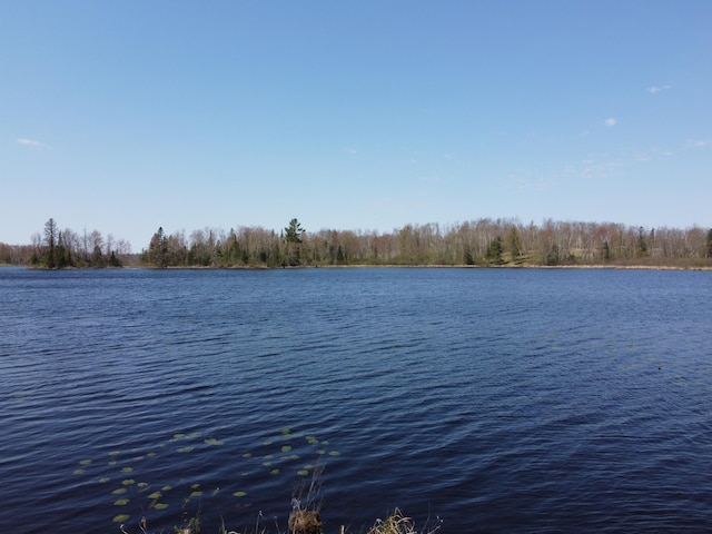 4741N Western Breeze, Ojibwa, WI 54862