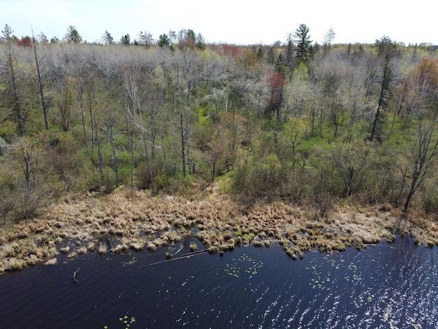 4741N Western Breeze, Ojibwa, WI 54862