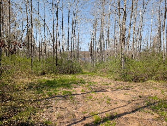 4741N Western Breeze, Ojibwa, WI 54862