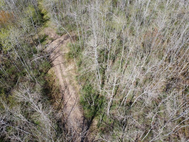 4741N Western Breeze, Ojibwa, WI 54862