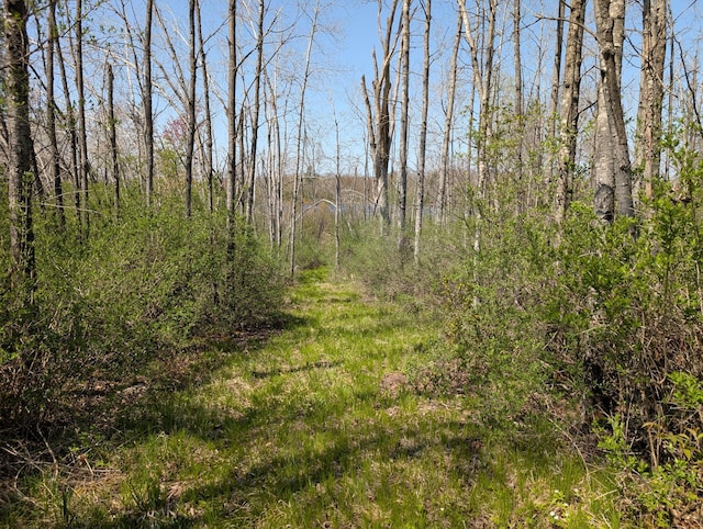 4741N Western Breeze, Ojibwa, WI 54862