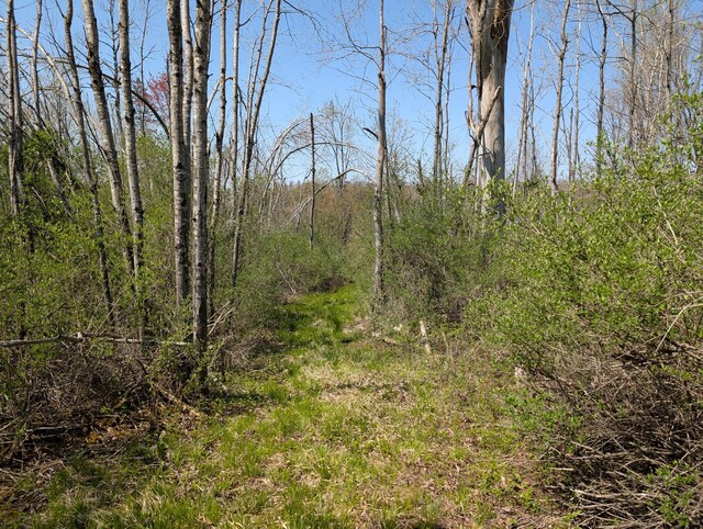 4741N Western Breeze, Ojibwa, WI 54862