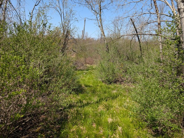 4741N Western Breeze, Ojibwa, WI 54862