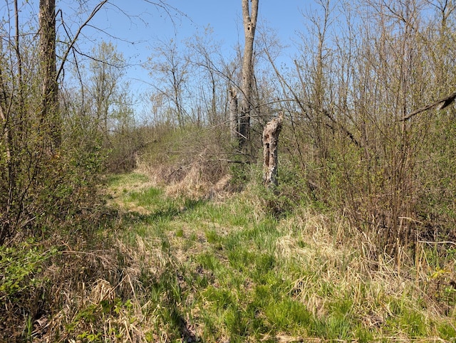 4741N Western Breeze, Ojibwa, WI 54862