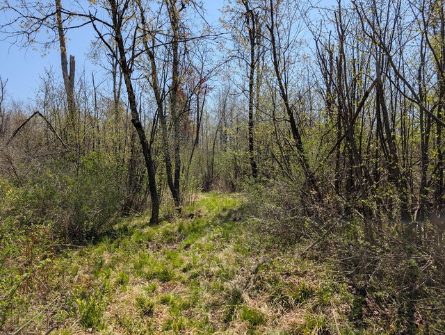 4741N Western Breeze, Ojibwa, WI 54862