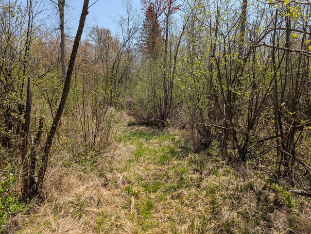 4741N Western Breeze, Ojibwa, WI 54862