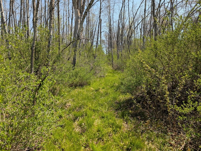 4741N Western Breeze, Ojibwa, WI 54862