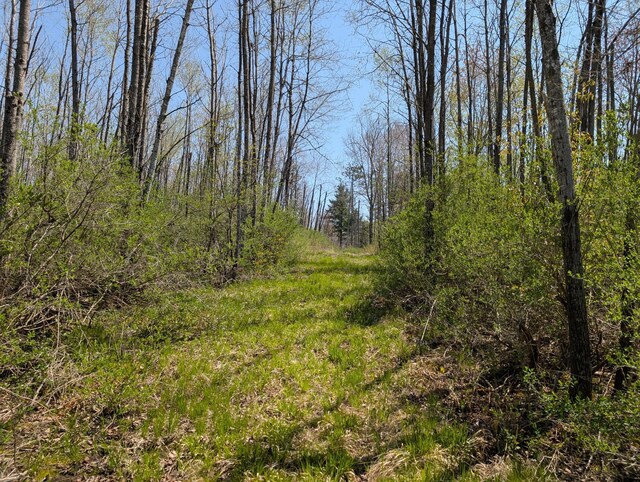 4741N Western Breeze, Ojibwa, WI 54862