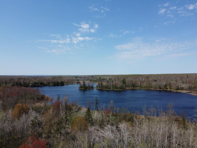 4741N Western Breeze, Ojibwa, WI 54862