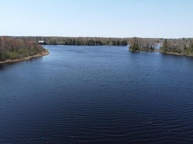 4741N Western Breeze, Ojibwa, WI 54862
