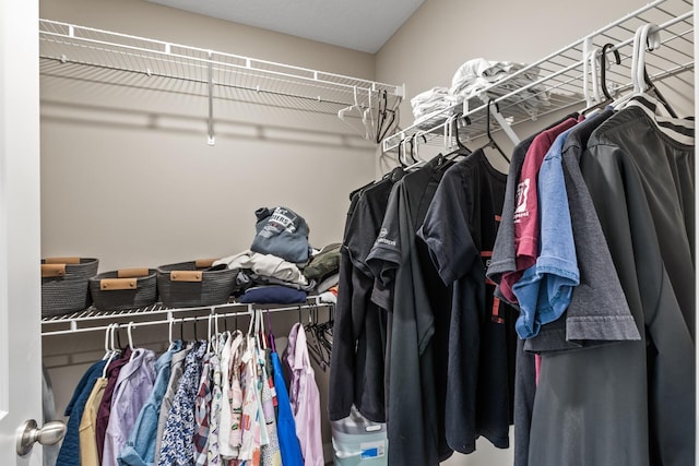 view of spacious closet