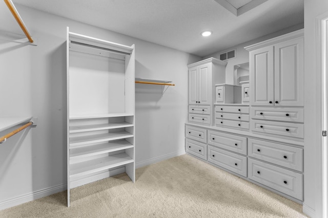 7884 341st St, Lent Twp, MN 55079 - walk in closet with light carpet