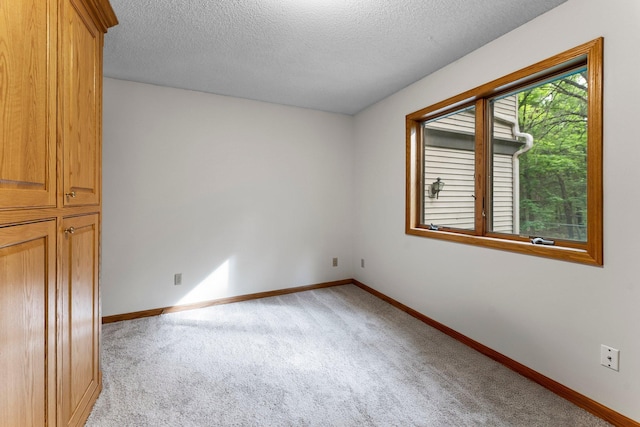 7884 341st St, Lent Twp, MN 55079 - unfurnished bedroom with light colored carpet and a textured ceiling