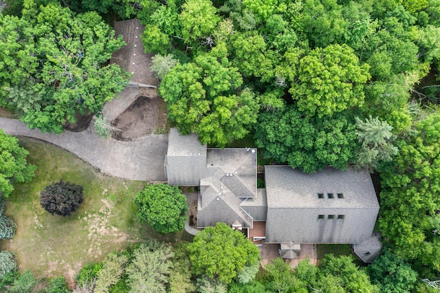 7884 341st St, Lent Twp, MN 55079 - aerial view of property's location