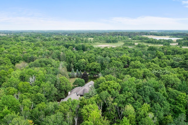 7884 341st St, Lent Twp, MN 55079 - aerial view of a forest