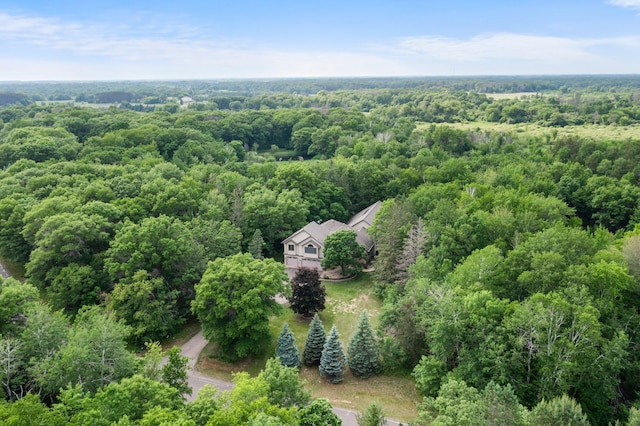 7884 341st St, Lent Twp, MN 55079 - view of subject property featuring a heavily wooded area