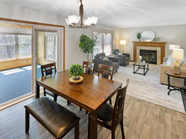 dining space featuring healthy amount of natural light, light wood-type flooring, a tiled fireplace, and a chandelier
