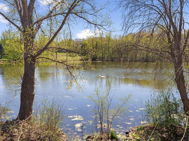 water view featuring a forest