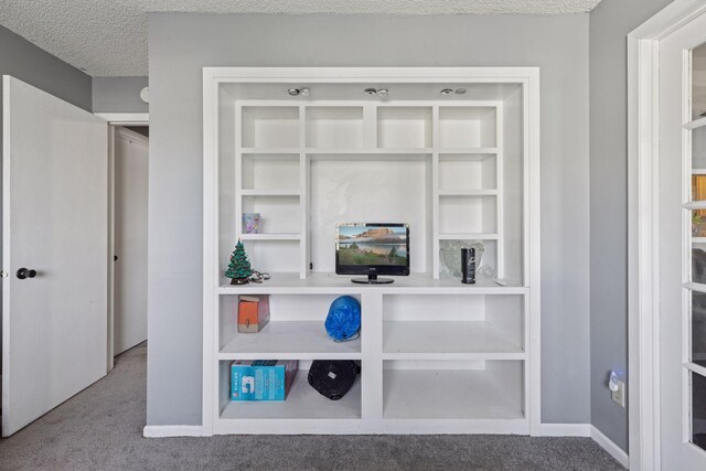 room details featuring carpet flooring, a textured ceiling, and baseboards