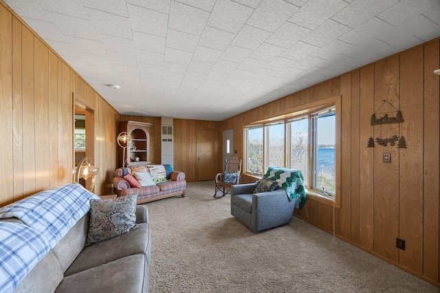 23920 Camp Dr, Daniels Twp, WI 54872 - carpeted living area with wood walls