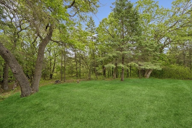 16523 243rd Ave NW, Orrock Twp, MN 55309 - view of green lawn featuring a view of trees
