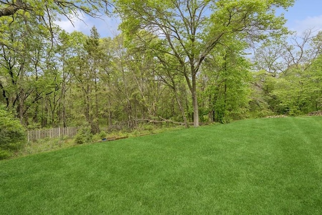 16523 243rd Ave NW, Orrock Twp, MN 55309 - view of yard featuring a forest view