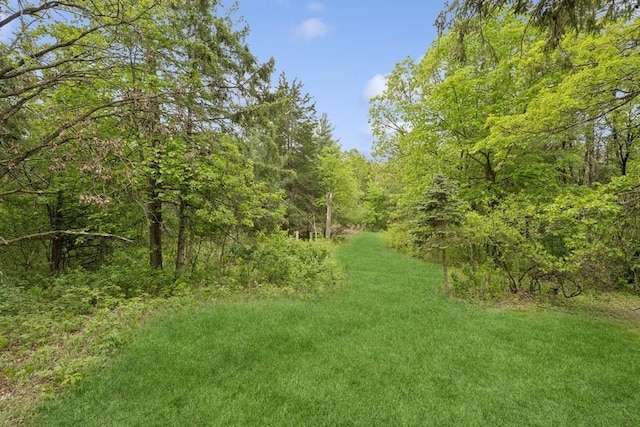 16523 243rd Ave NW, Orrock Twp, MN 55309 - view of yard featuring a forest view