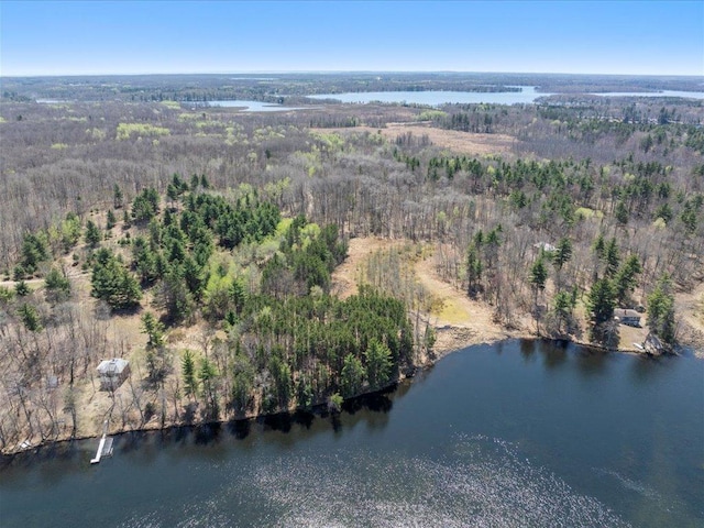 TBD Taylor Rd, Deerwood Twp, MN 56444