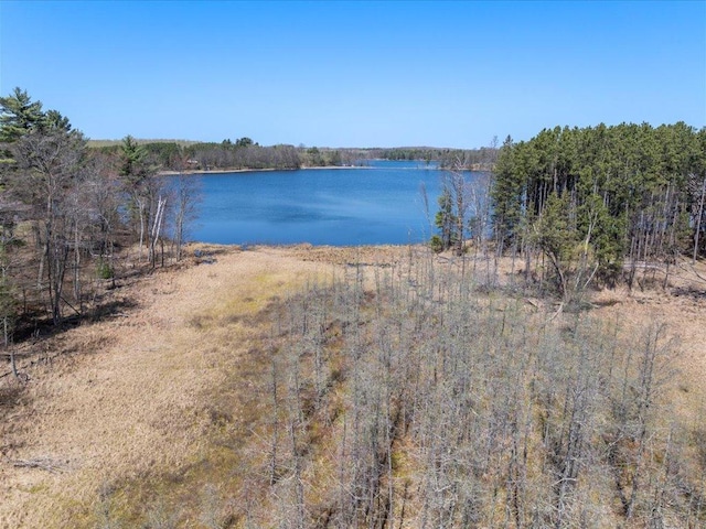 TBD Taylor Rd, Deerwood Twp, MN 56444