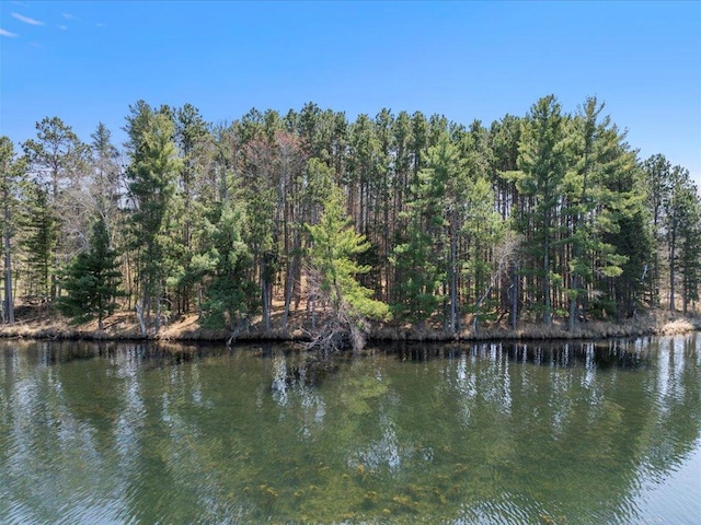 TBD Taylor Rd, Deerwood Twp, MN 56444
