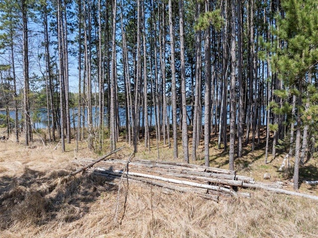 TBD Taylor Rd, Deerwood Twp, MN 56444