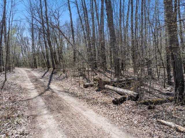 TBD Taylor Rd, Deerwood Twp, MN 56444